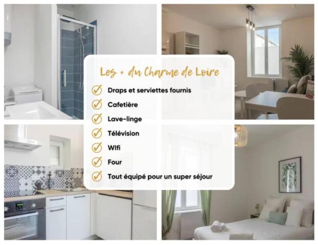 Charme De Loire A St Ay *T2* Apartment Saint-Ay Exterior photo
